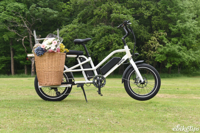 Best e best sale cargo bike